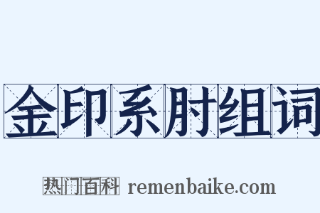 金印系肘组词是什么意思的图片